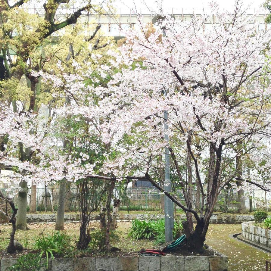Third&place Namba_ashiharabashi/芦原橋 度假居